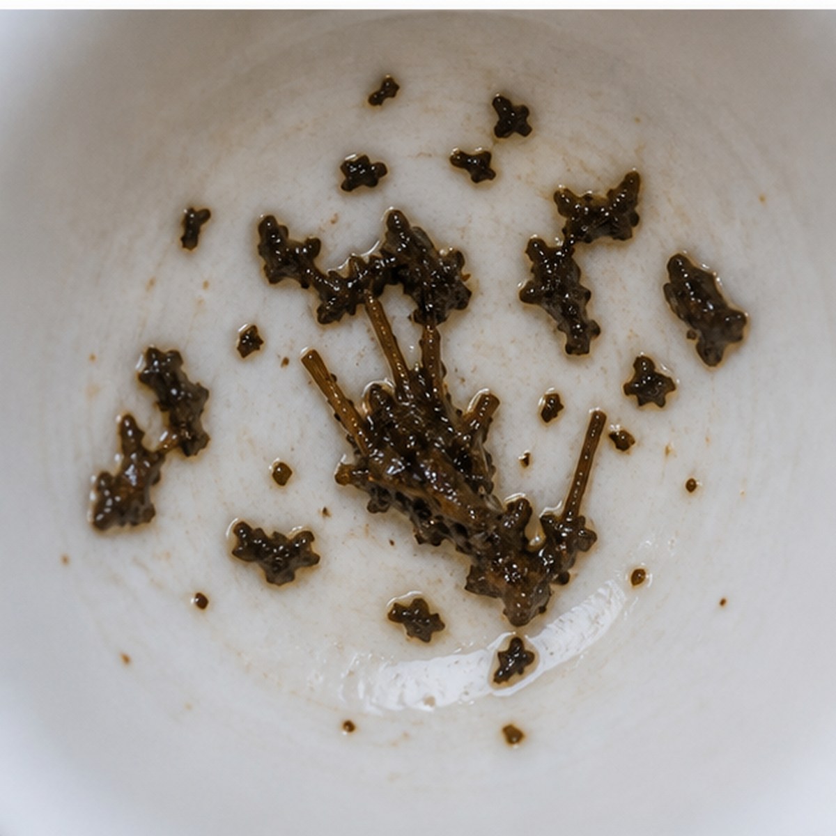 Pan And His Pipes tea leaves cup variation two