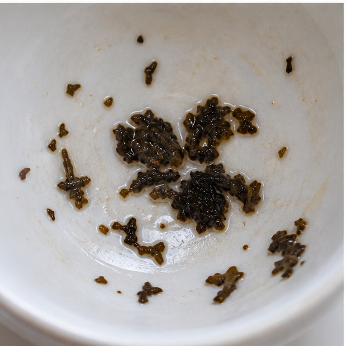 Pansy tea leaves cup variation two