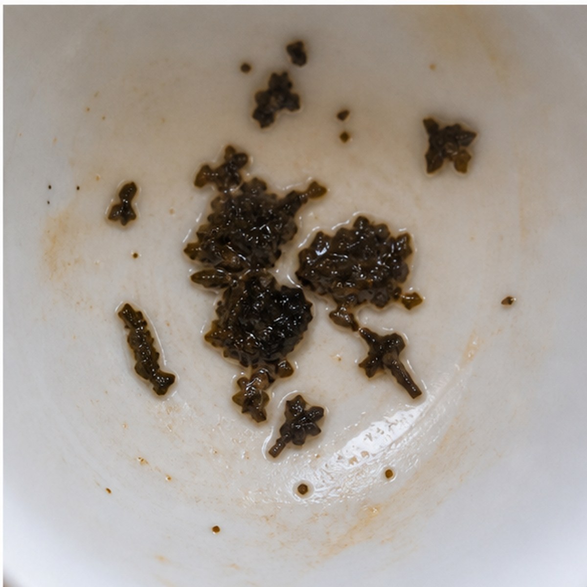 Pansy tea leaves cup variation three