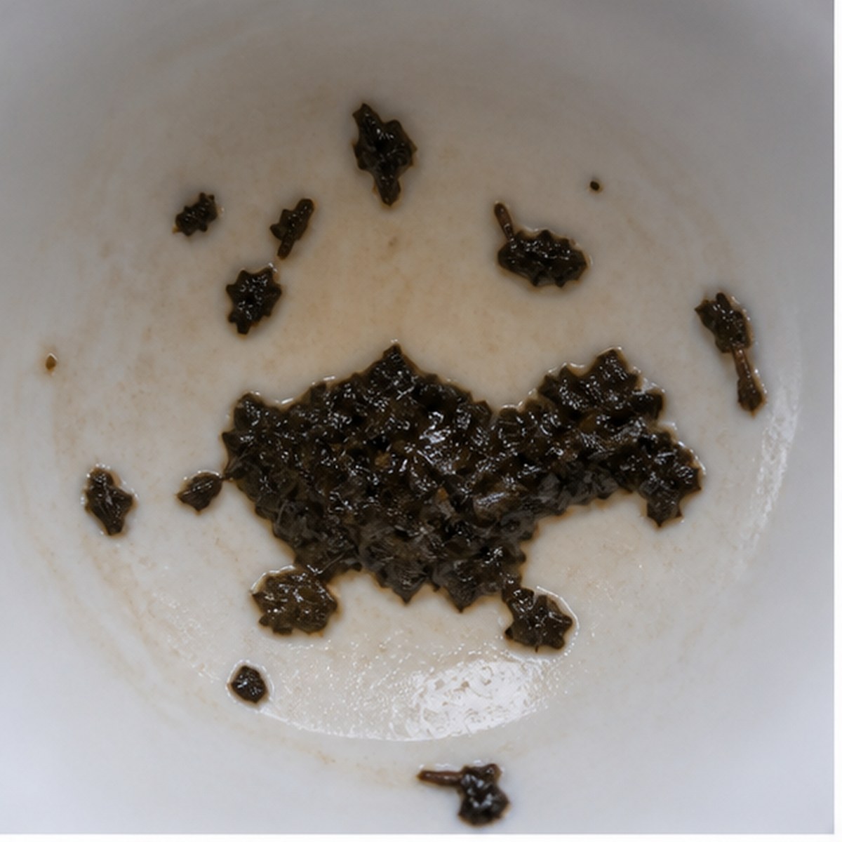 Panther tea leaf reading cup example