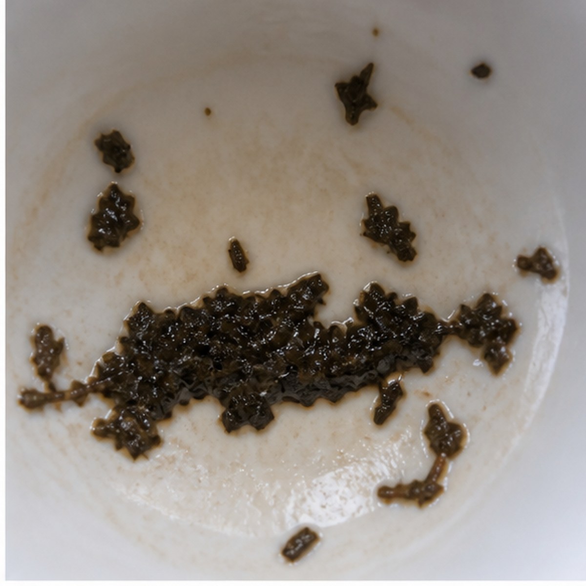 Panther tea leaves cup variation one