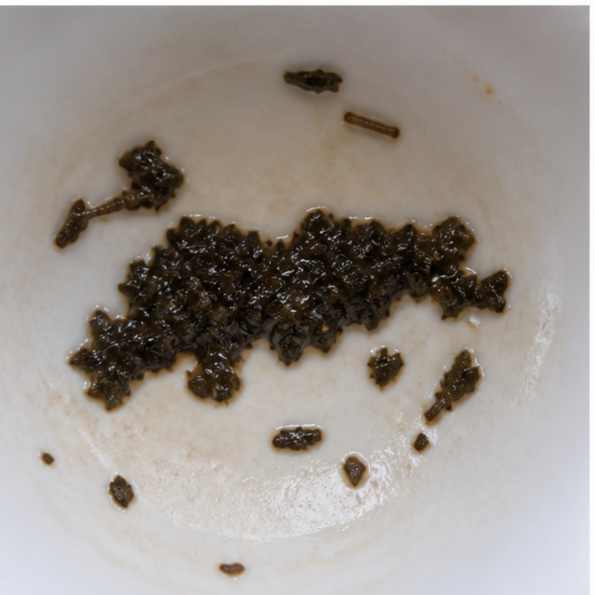 Panther tea leaves cup variation two