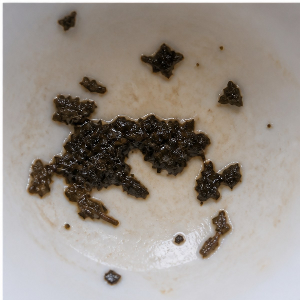 Panther tea leaves cup variation three