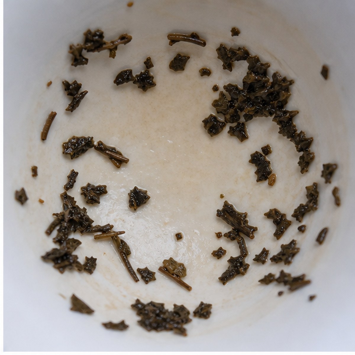 Paradise tea leaves cup variation one