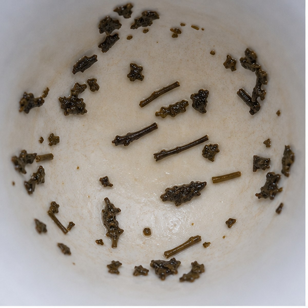 Parallel Lines tea leaf reading cup example
