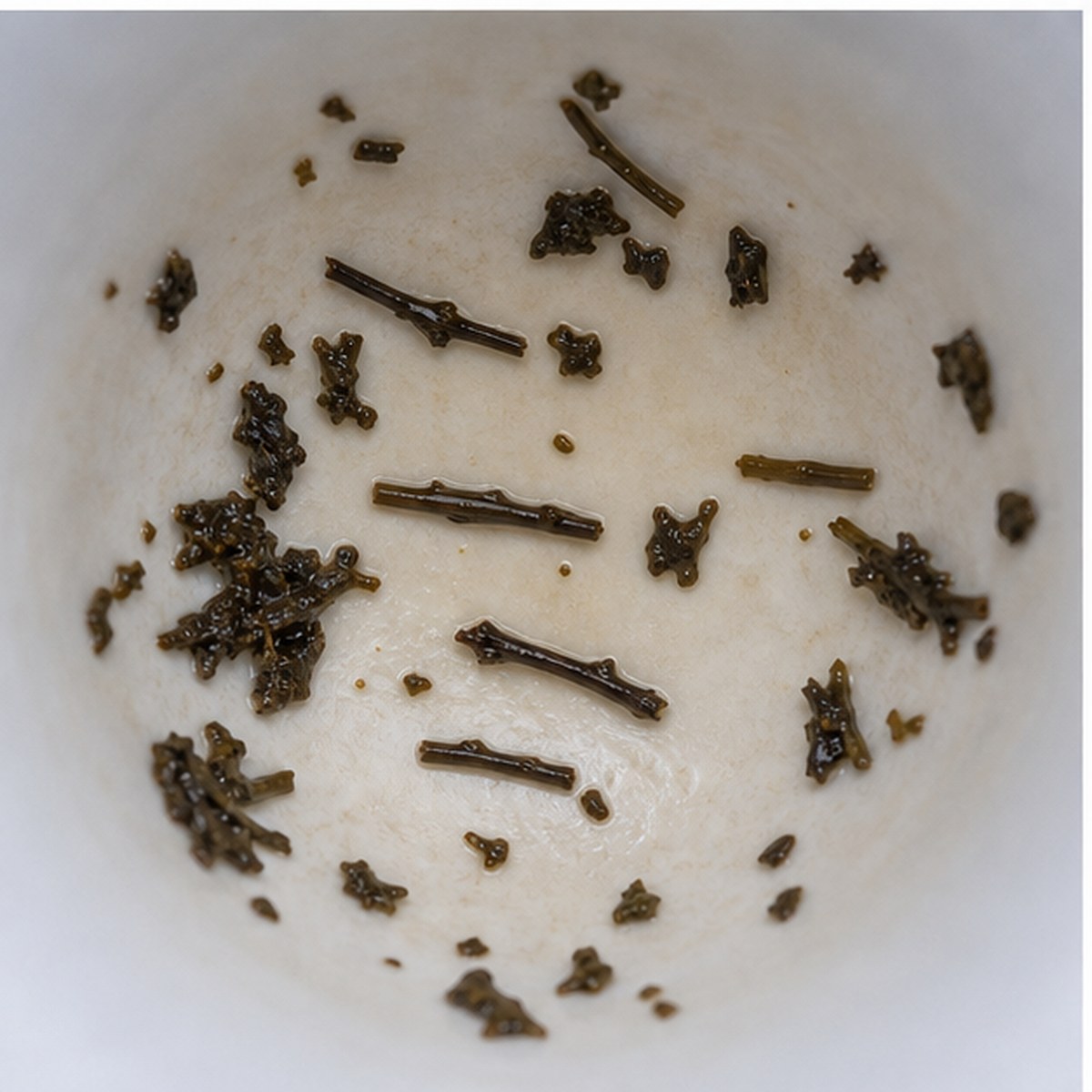 Parallel Lines tea leaves cup variation two