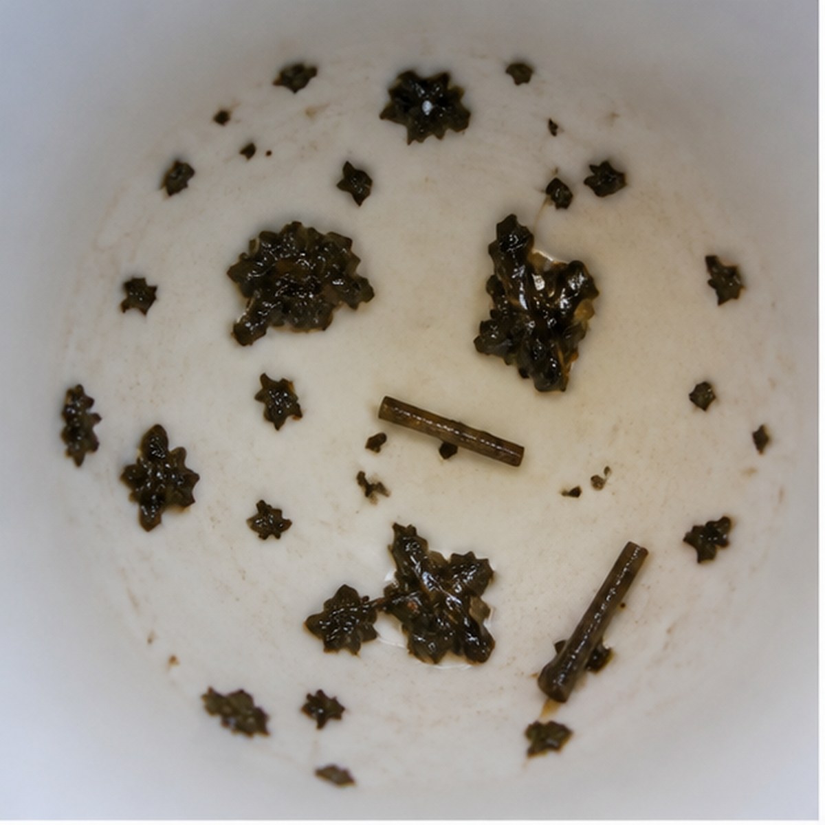 Parcels tea leaf reading cup example