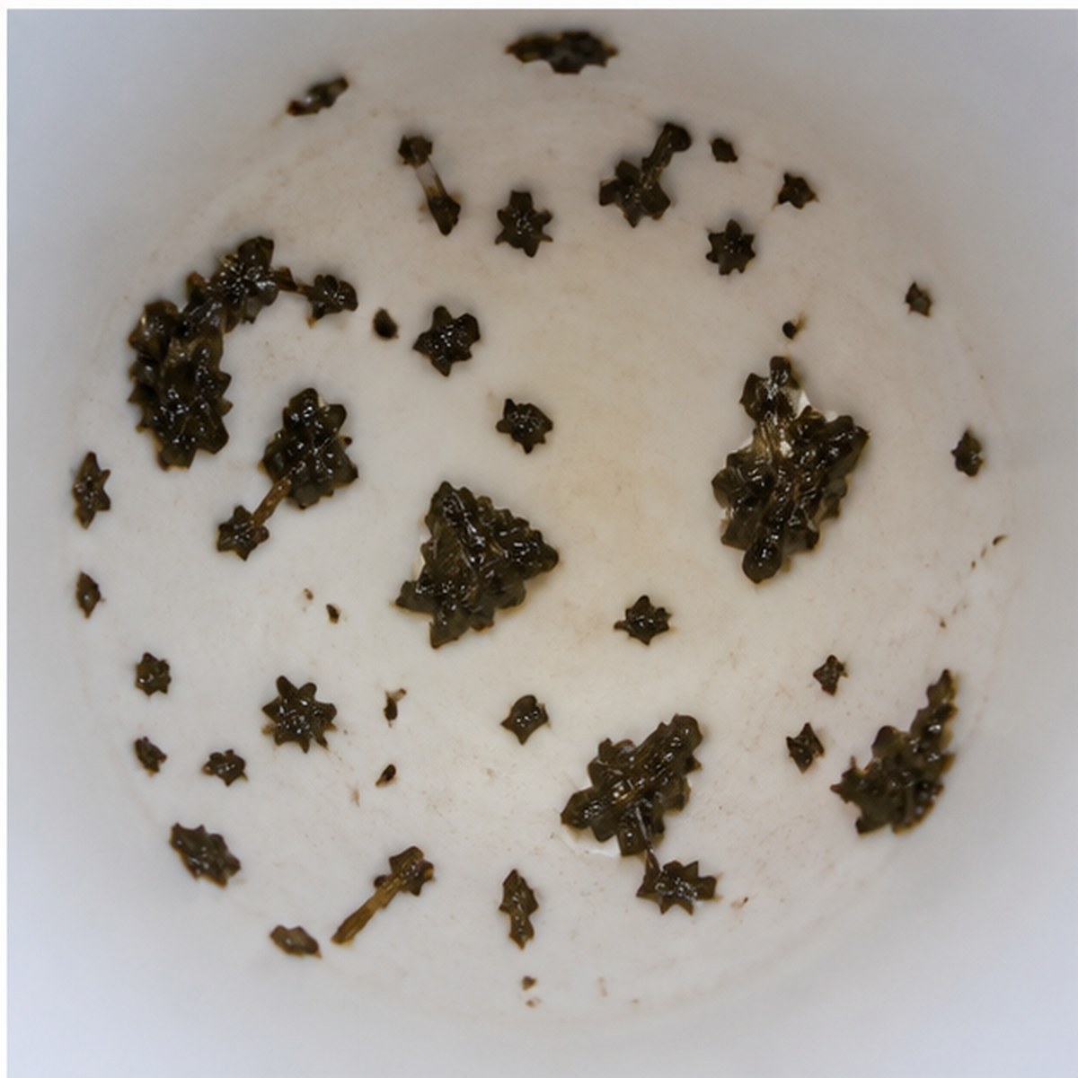 Parcels tea leaves cup variation three