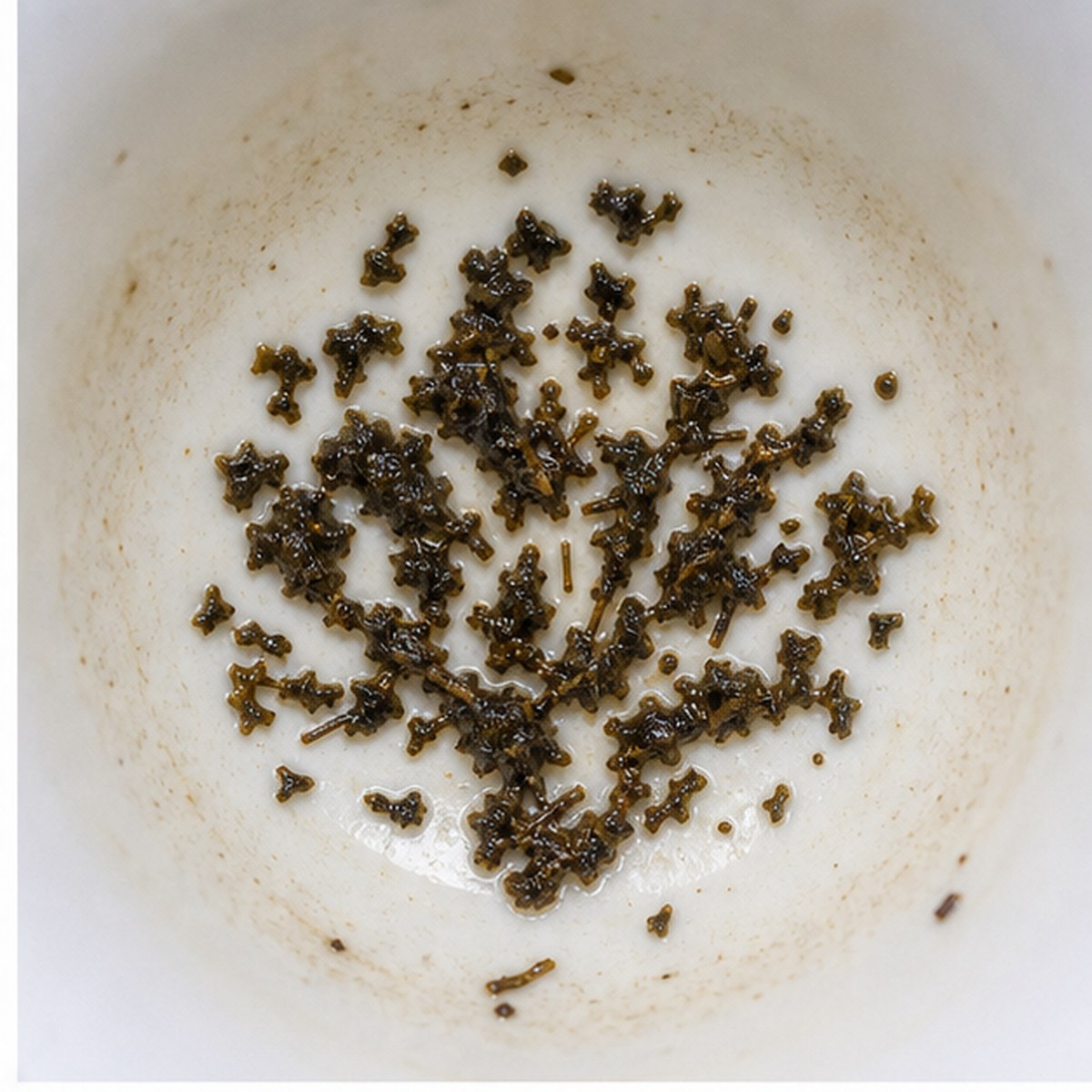 Peacock tea leaves cup variation one