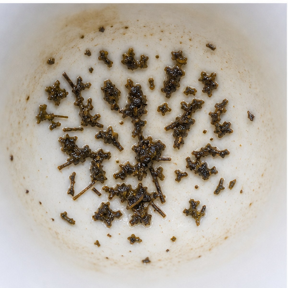 Peacock tea leaves cup variation two