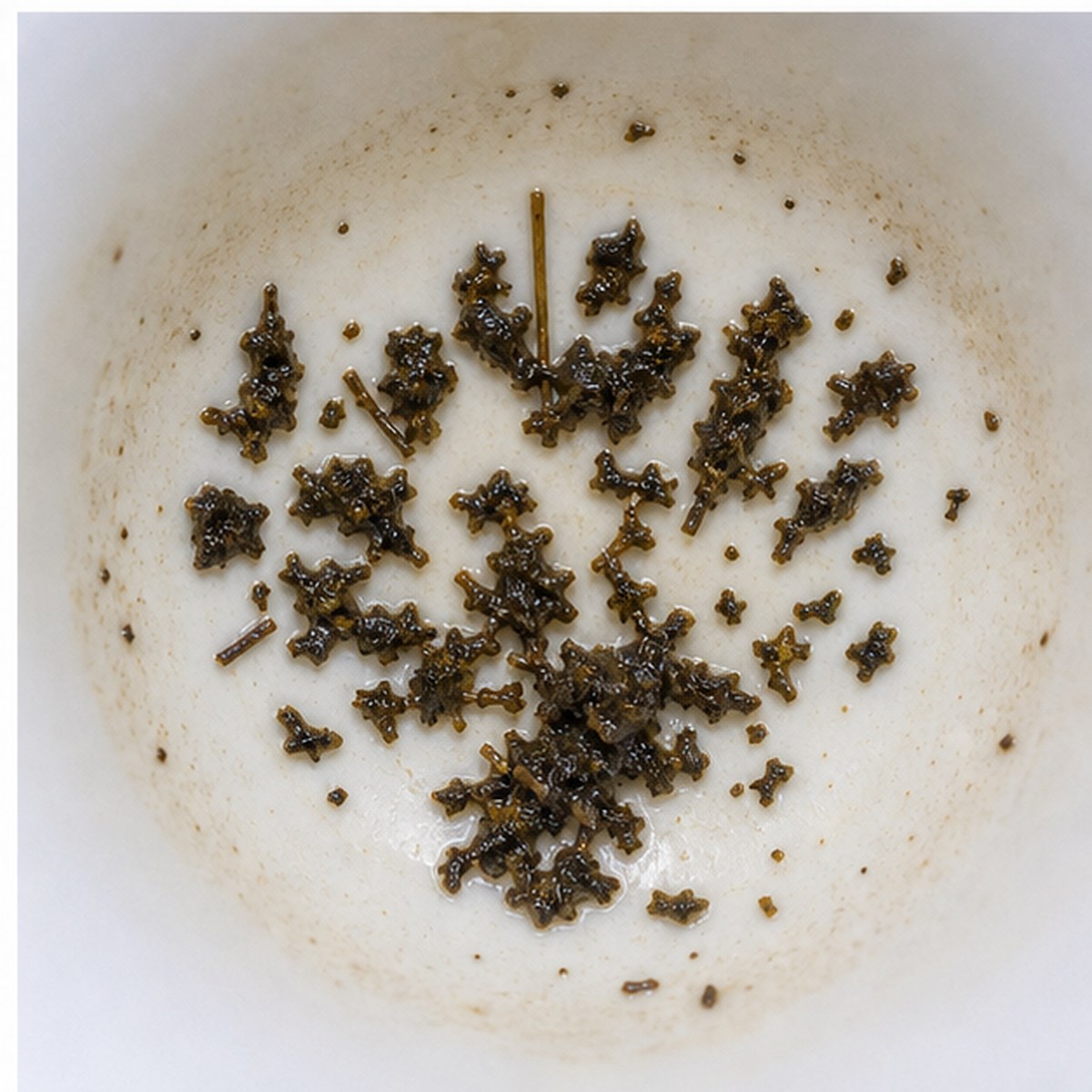 Peacock tea leaves cup variation three