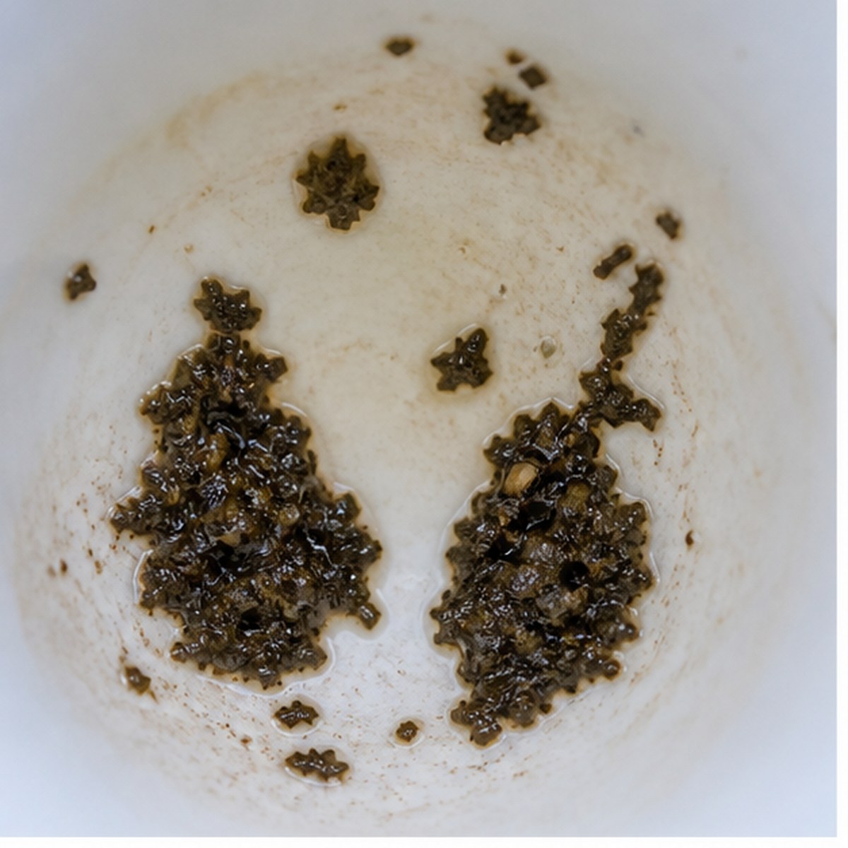 Pears tea leaf reading cup example