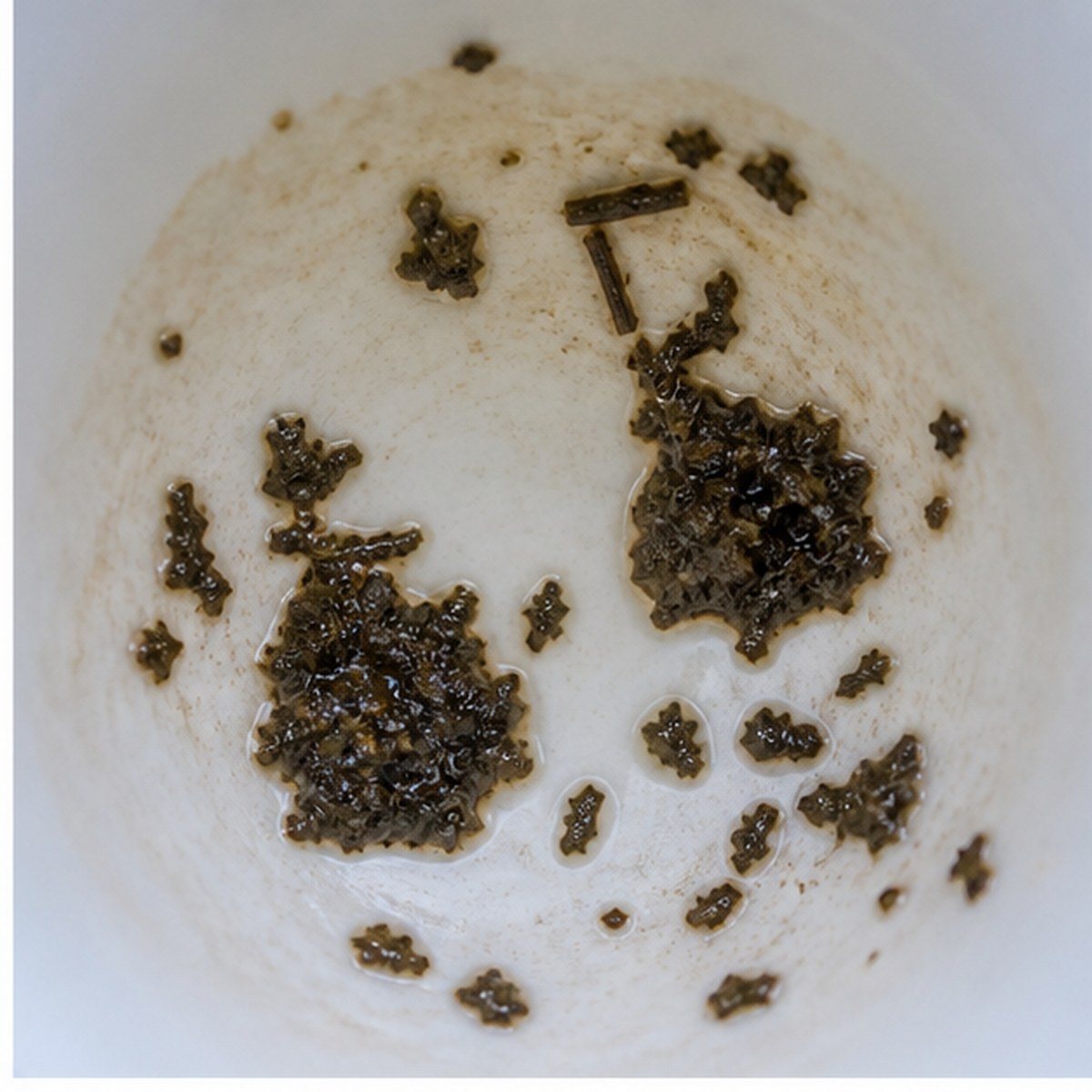 Pears tea leaves cup variation one