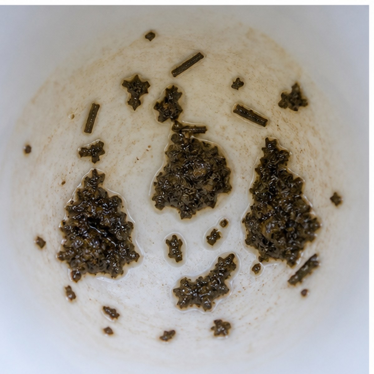 Pears tea leaves cup variation two