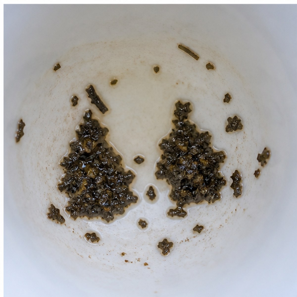 Pears tea leaves cup variation three