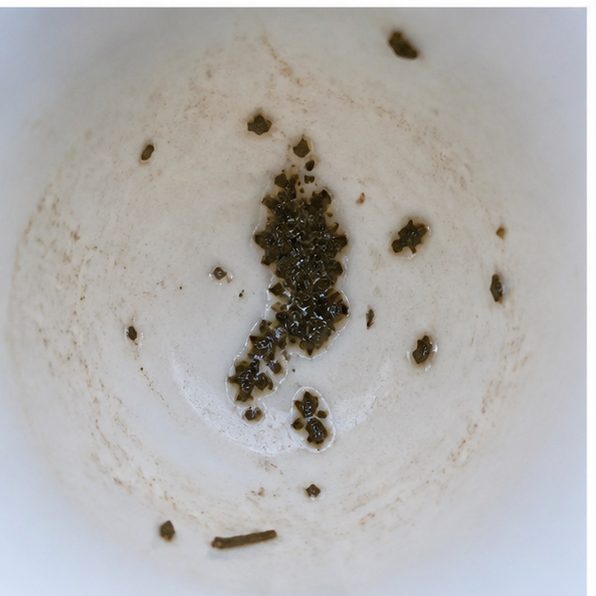 Pedestrian tea leaves cup variation two