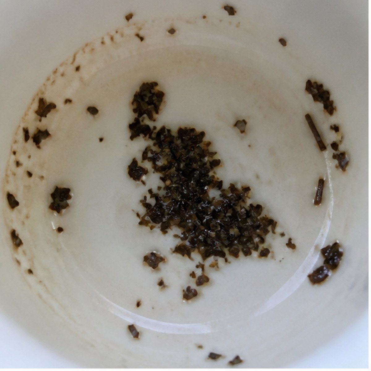 Pelican tea leaf reading cup example