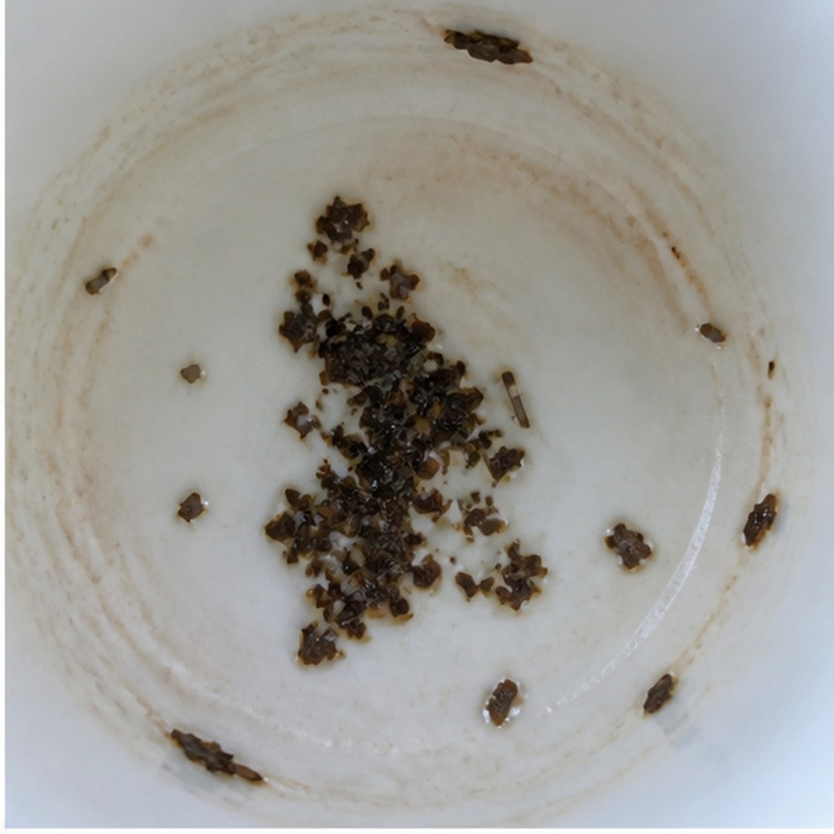 Pelican tea leaves cup variation one