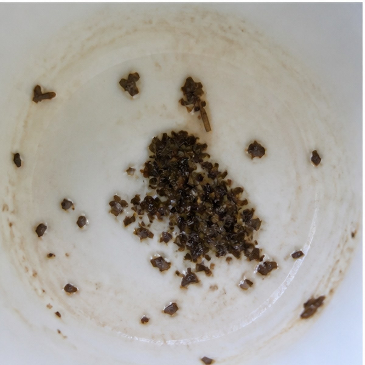 Pelican tea leaves cup variation two