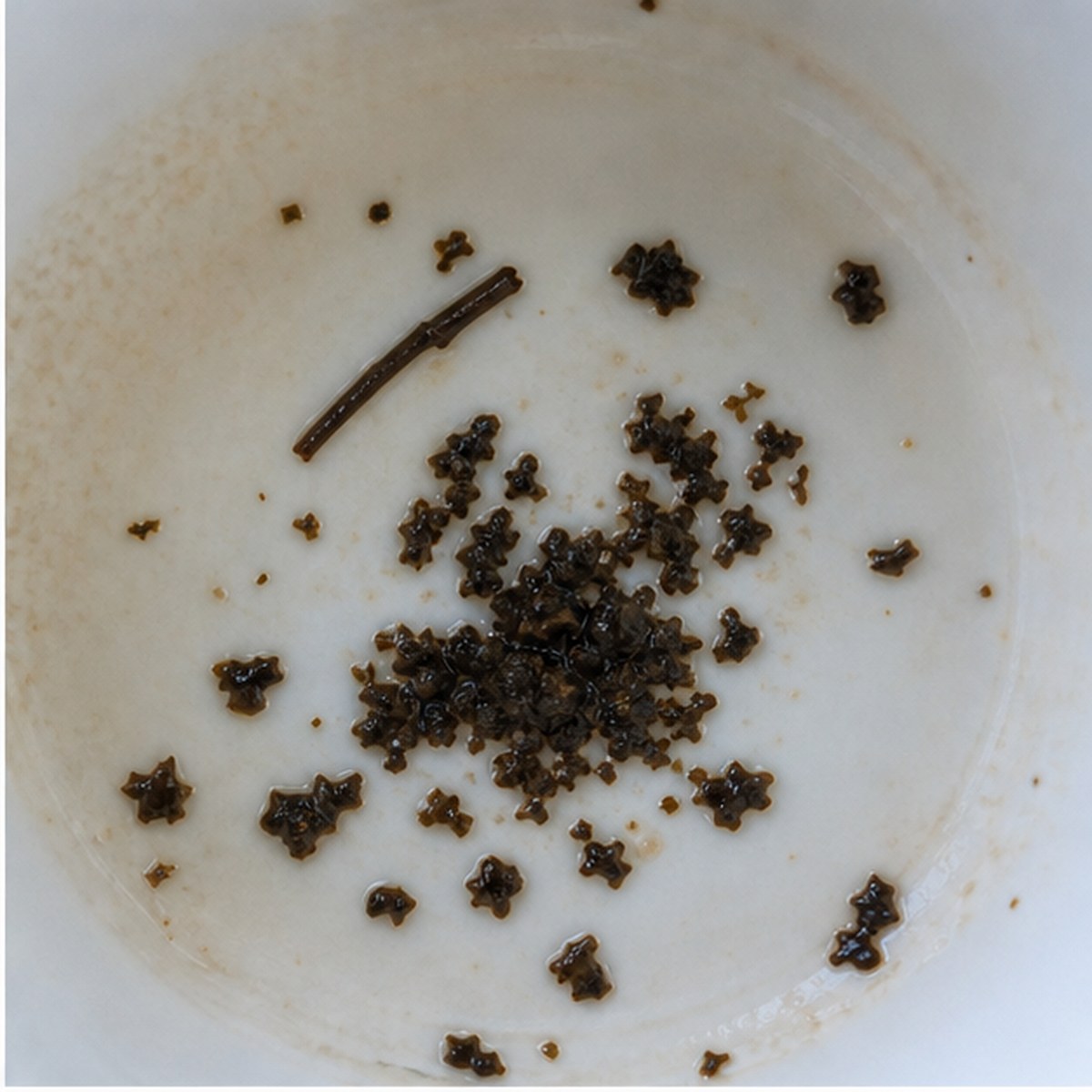 Pen tea leaves cup variation one