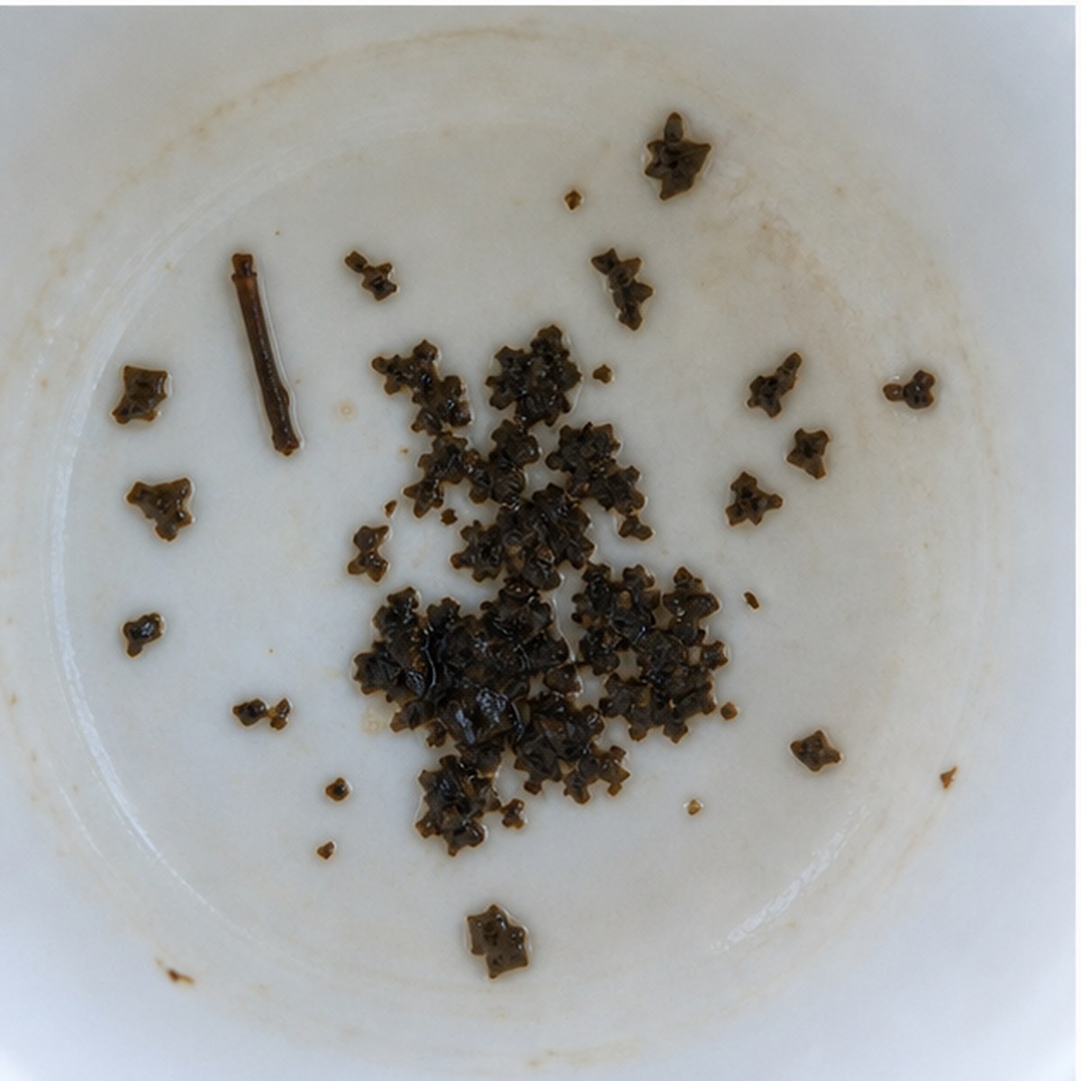 Pen tea leaves cup variation two
