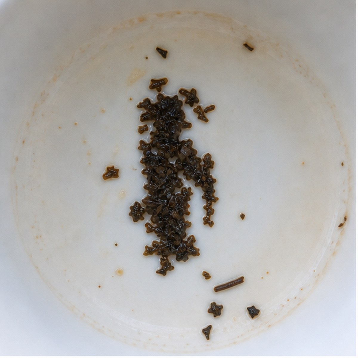 Penguin tea leaf reading cup example