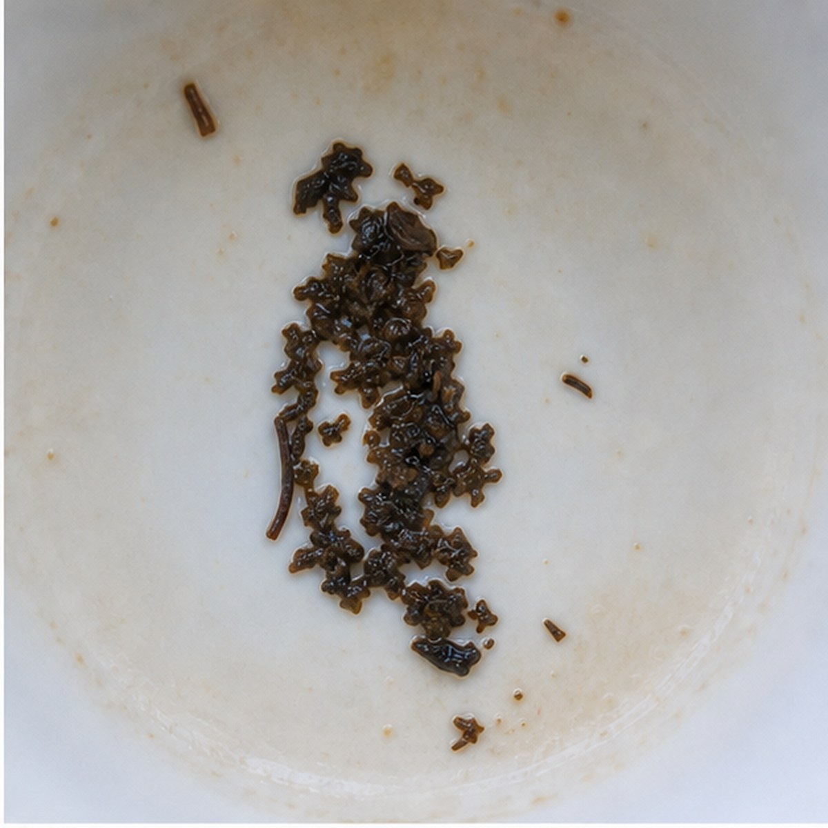 Penguin tea leaves cup variation one