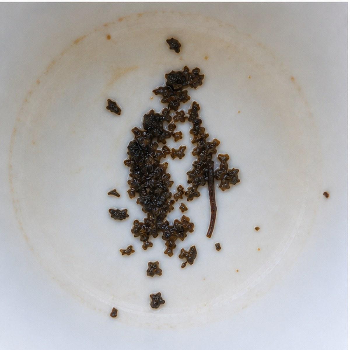 Penguin tea leaves cup variation two