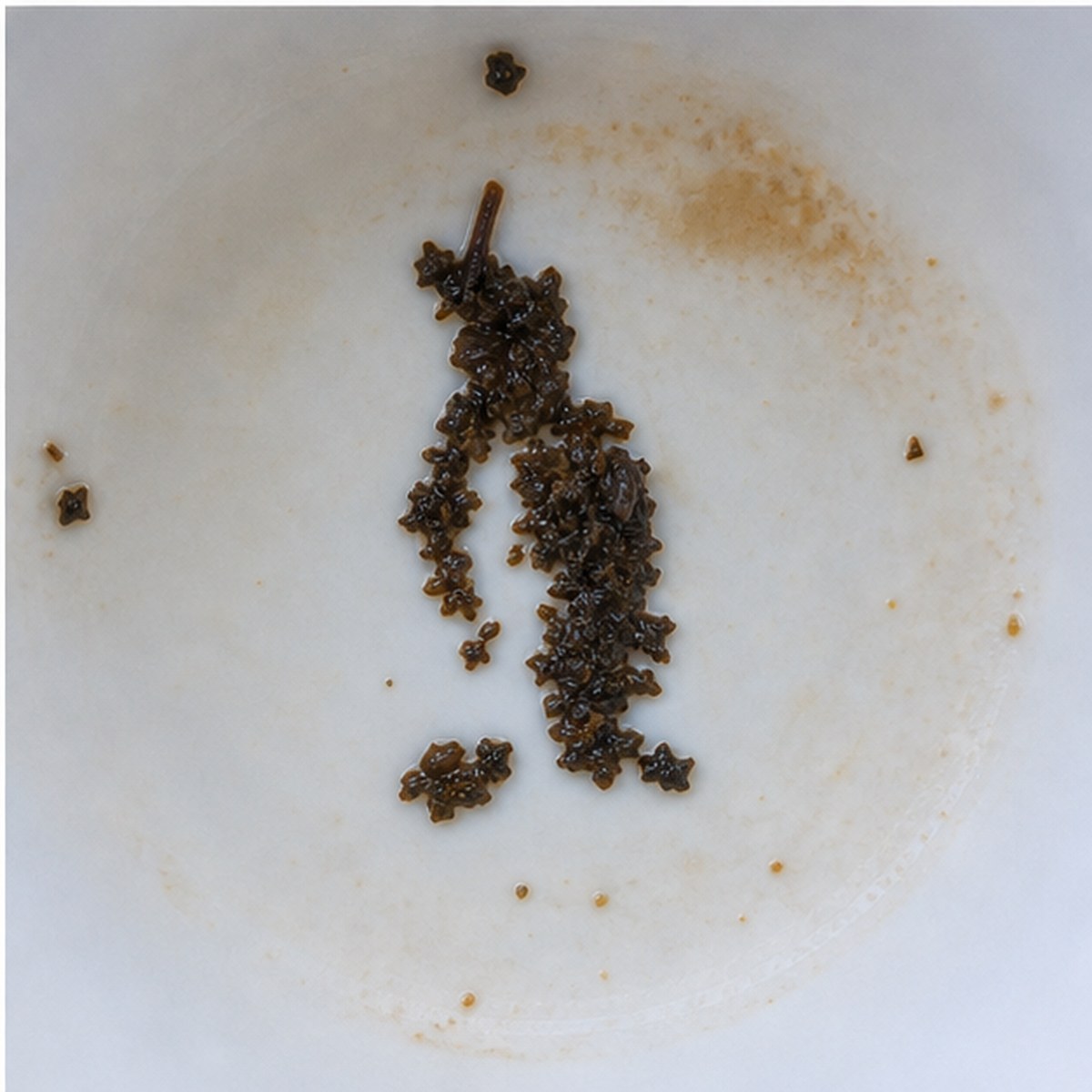 Penguin tea leaves cup variation three
