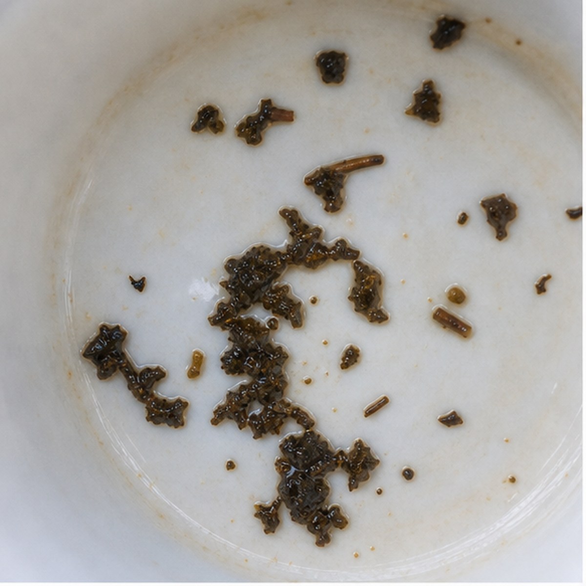 Penknife tea leaf reading cup example