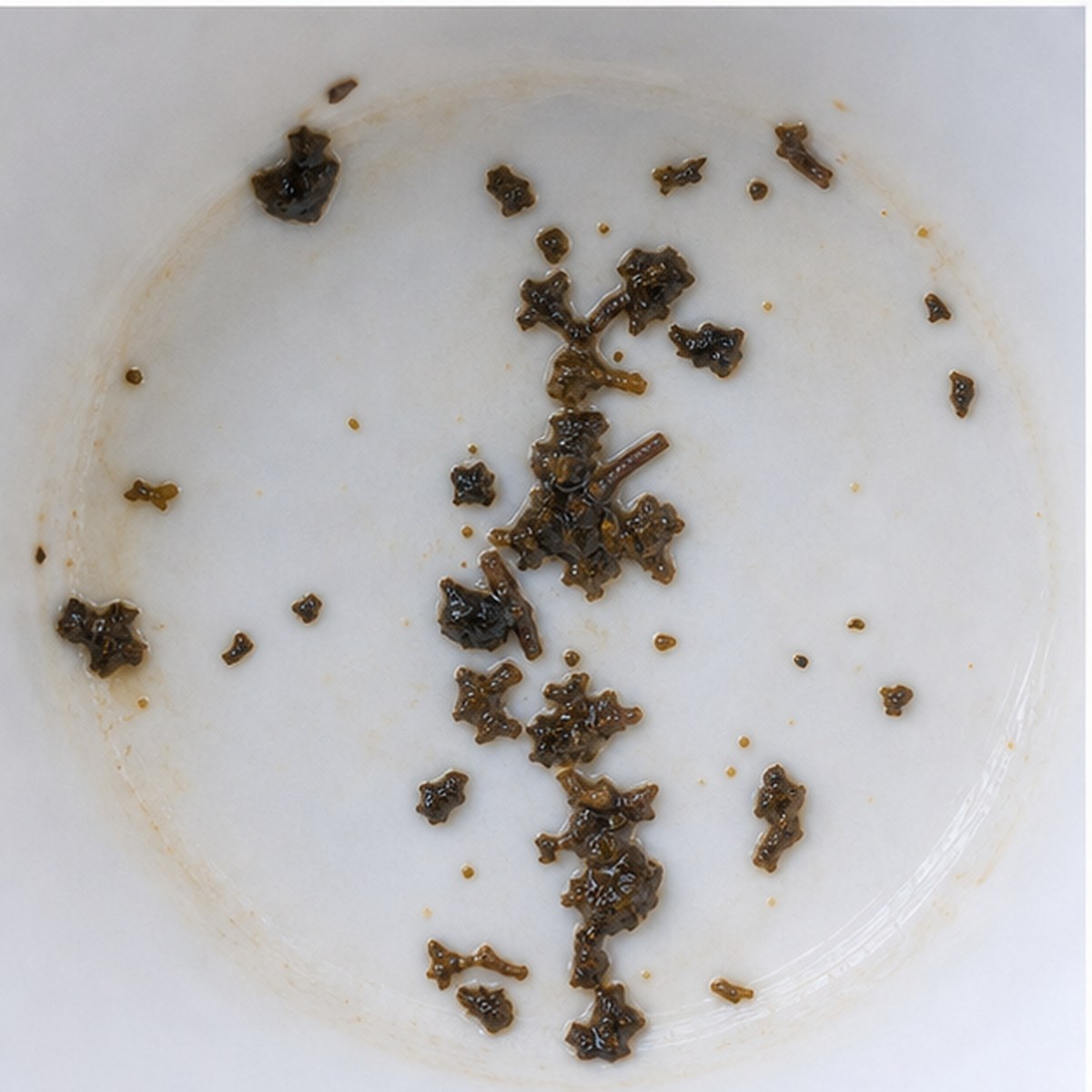 Penknife tea leaves cup variation two
