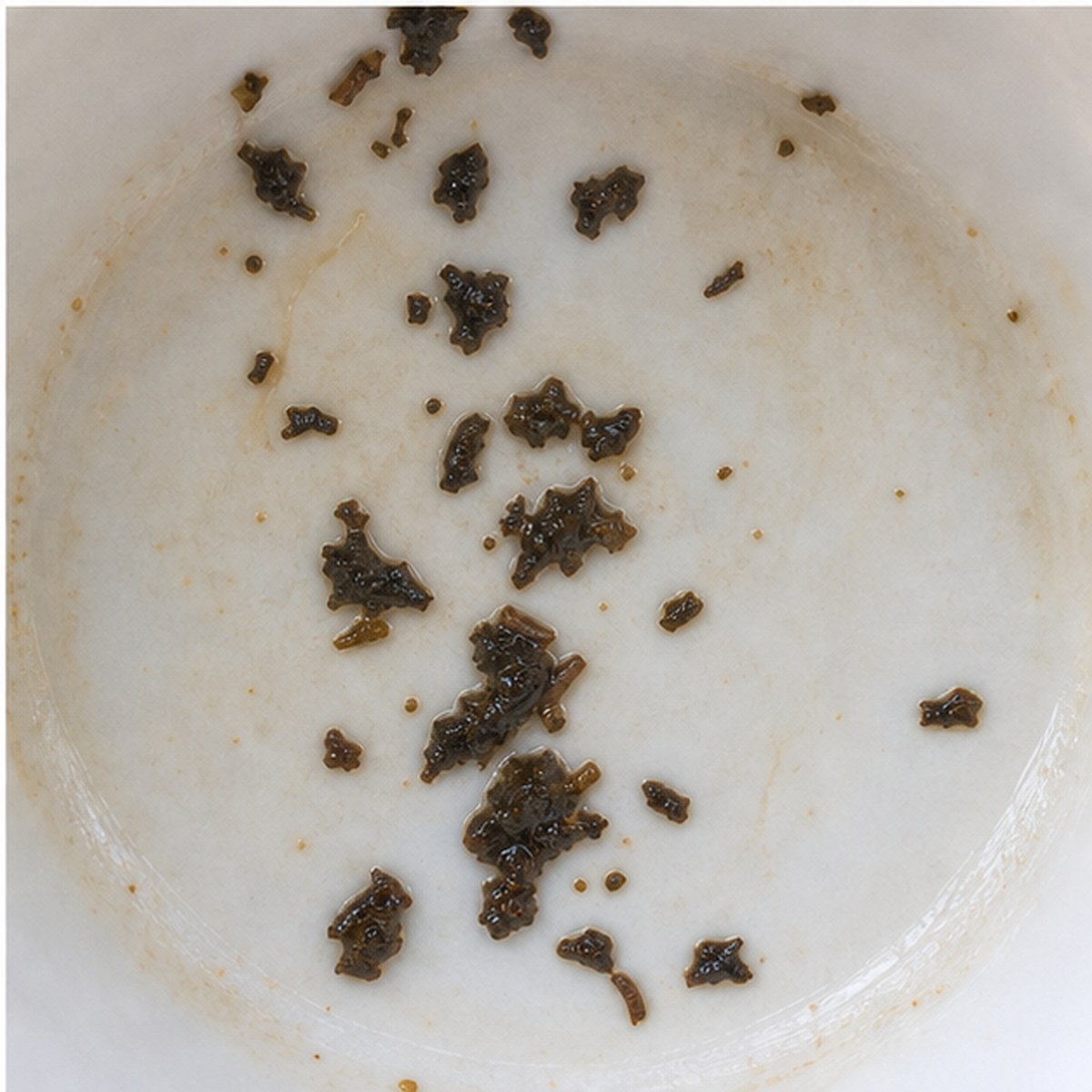 Penknife tea leaves cup variation three