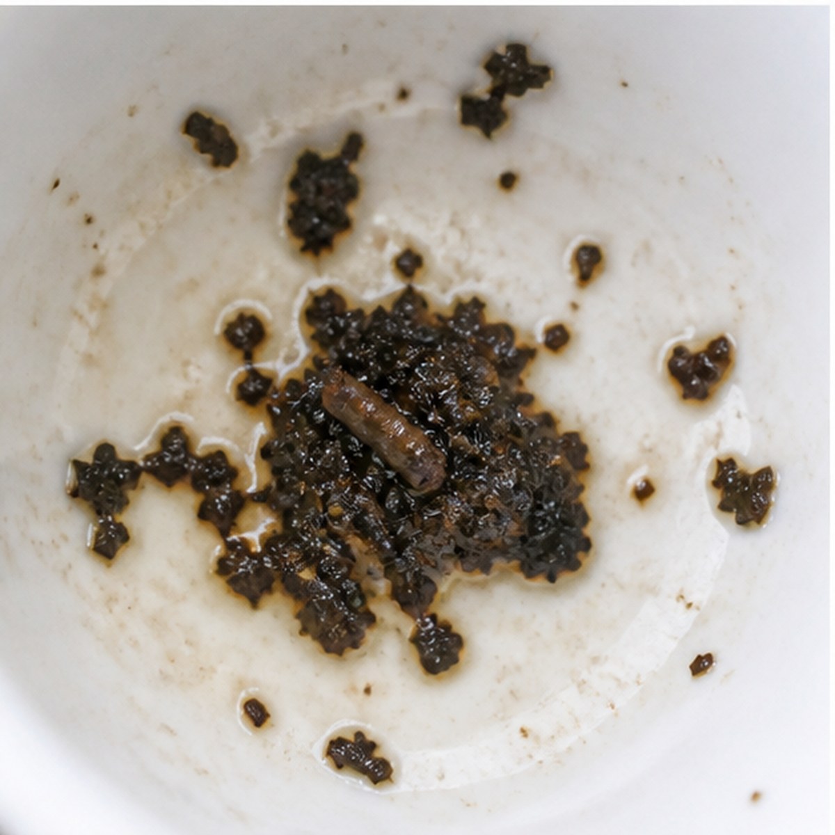 Pestle tea leaves cup variation two
