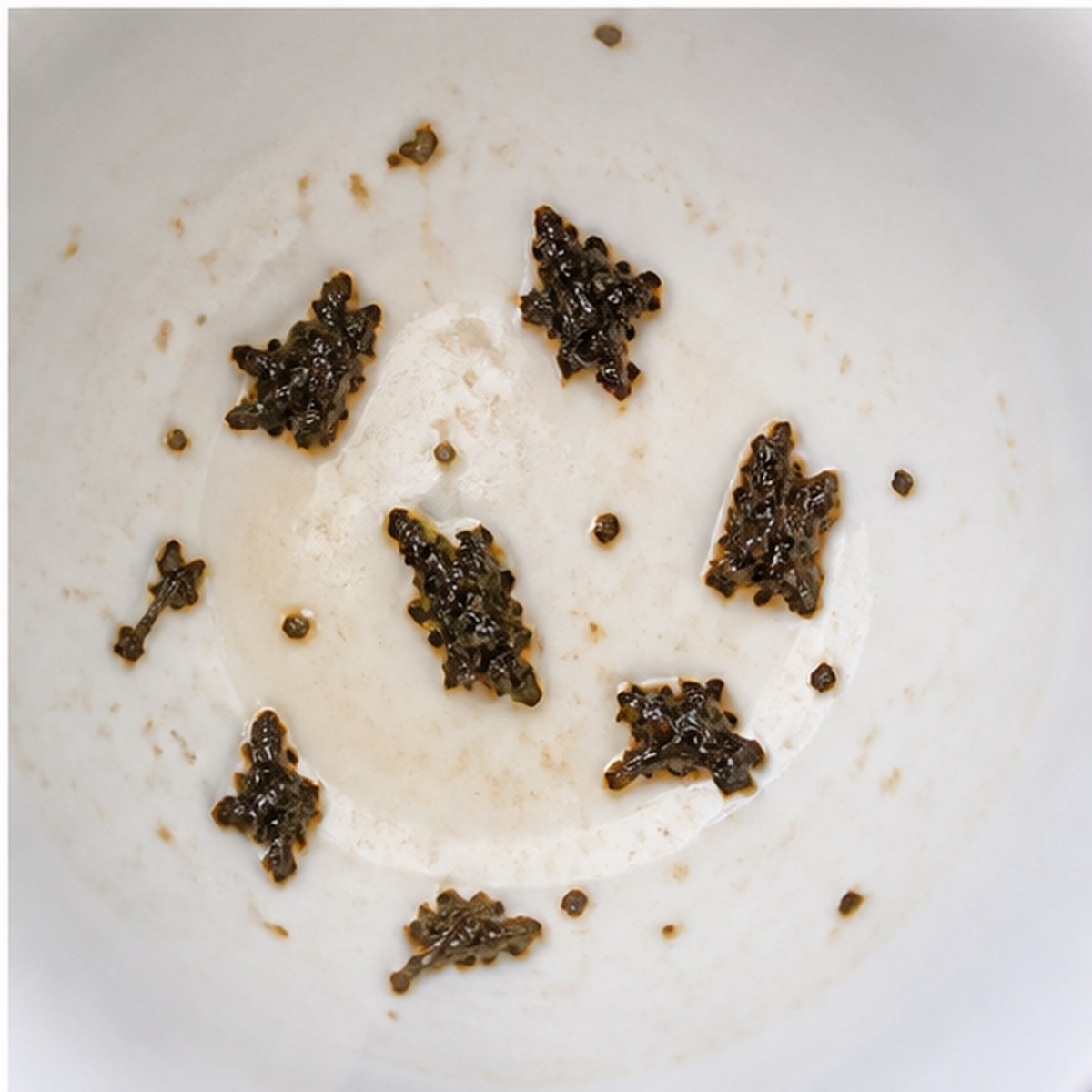 Pigeons tea leaves cup variation three
