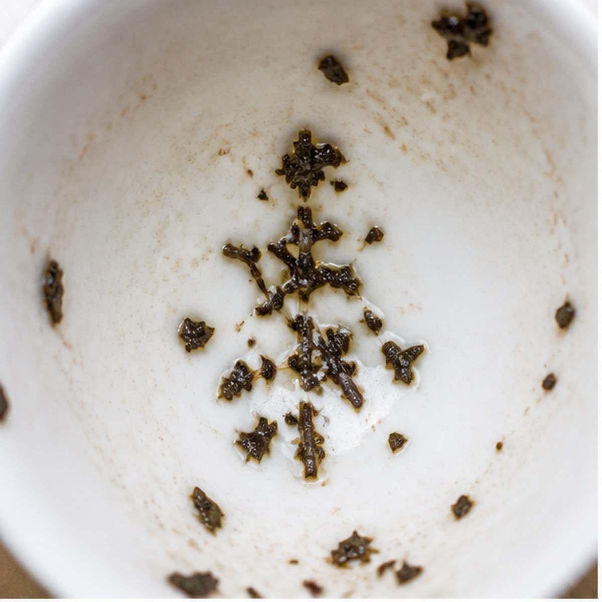 Pine-Tree tea leaf reading cup example