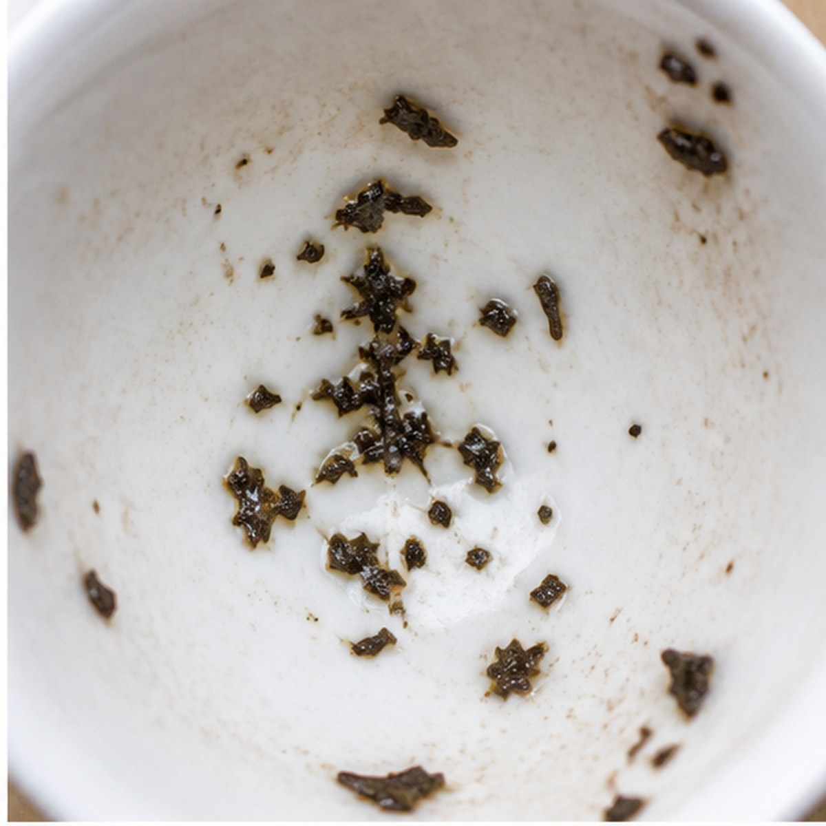 Pine-Tree tea leaves cup variation one