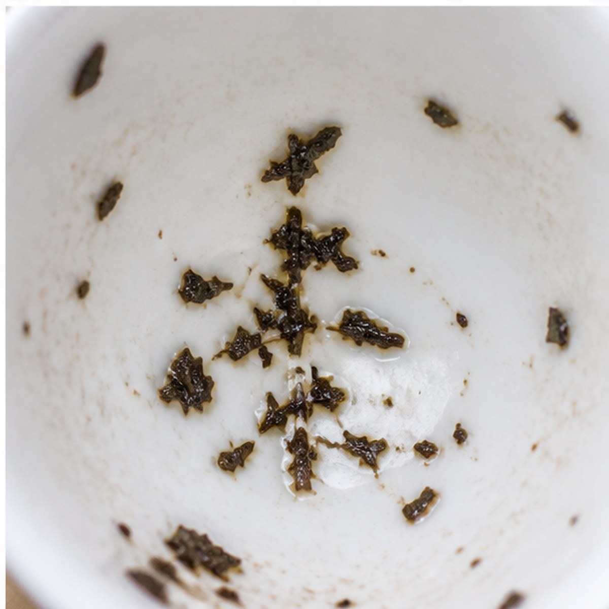 Pine-Tree tea leaves cup variation three