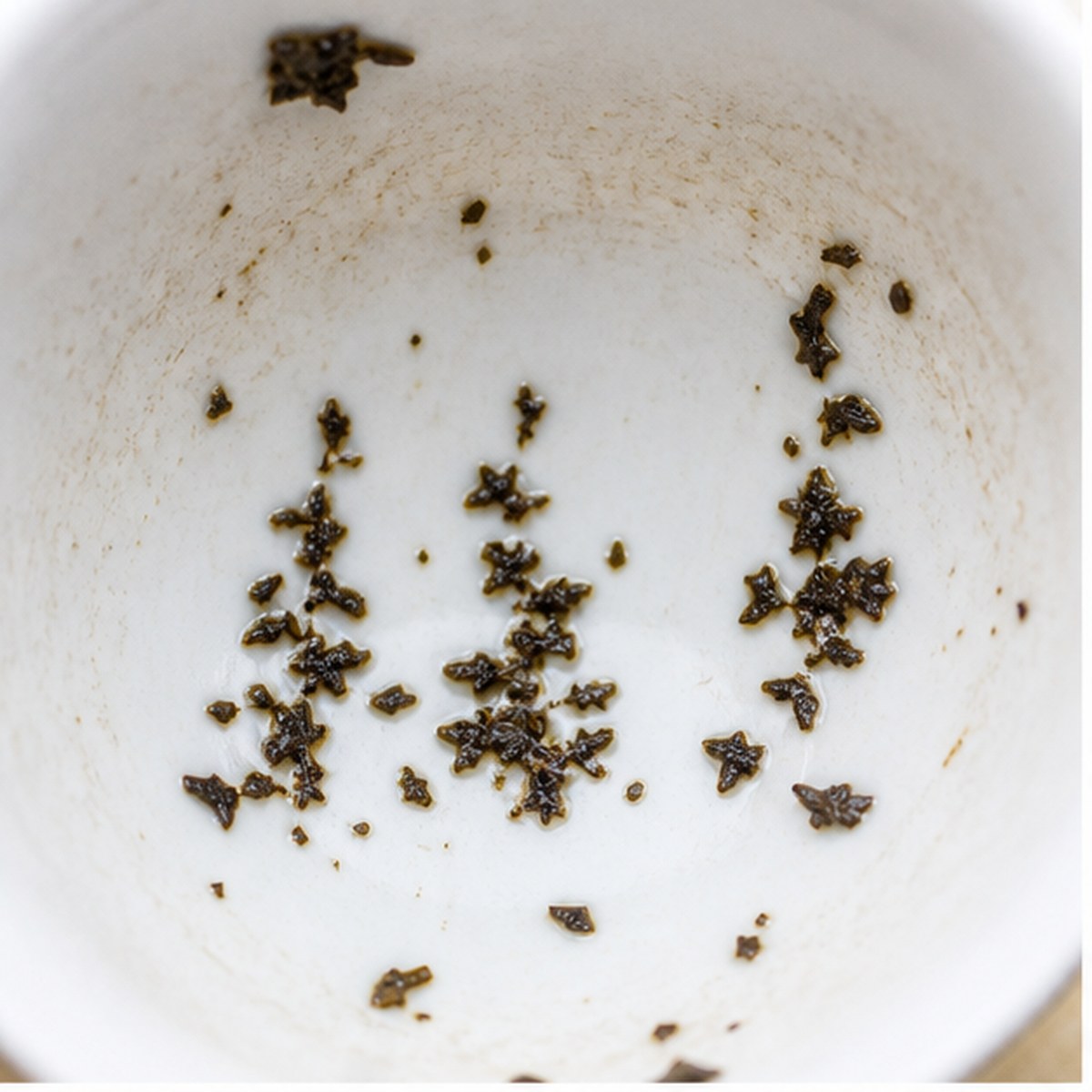 Pine Trees tea leaf reading cup example