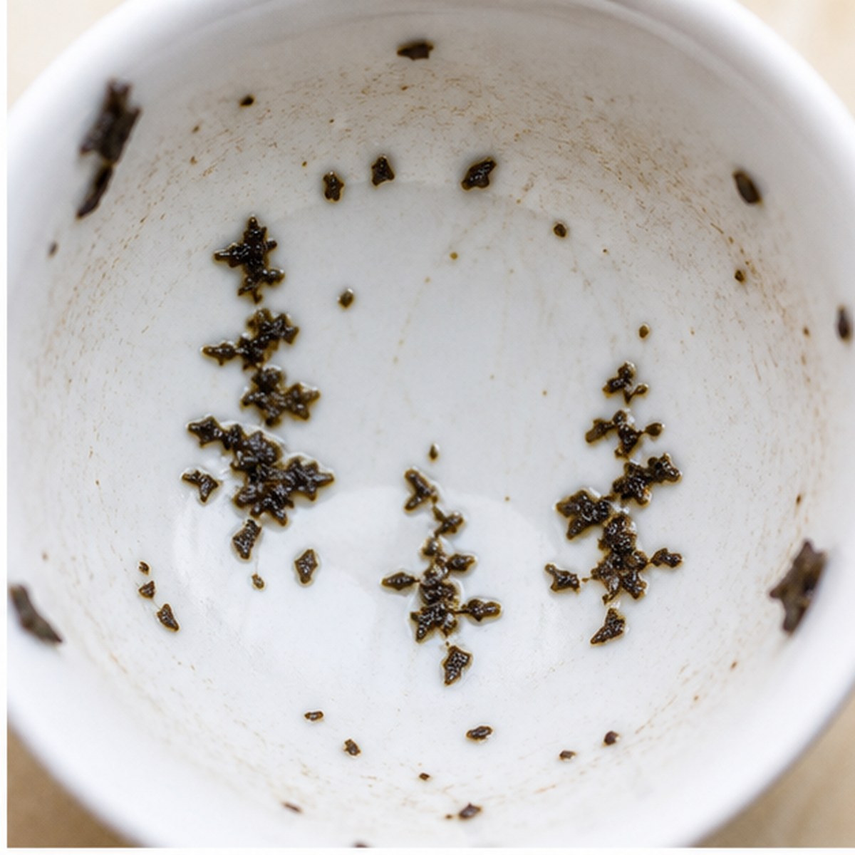 Pine Trees tea leaves cup variation one
