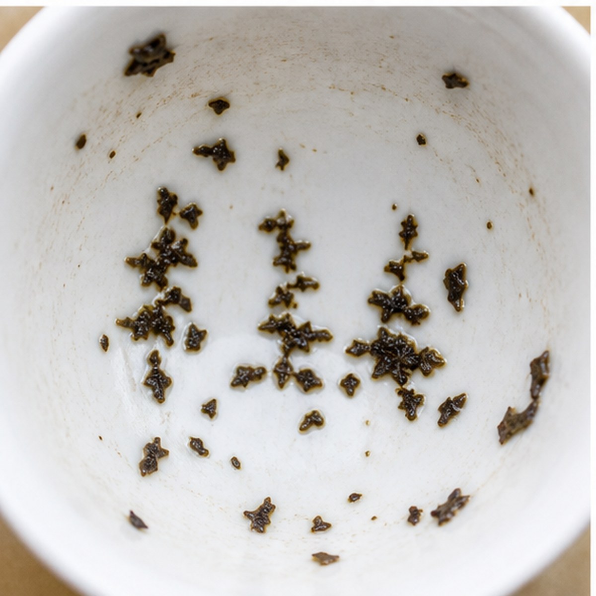 Pine Trees tea leaves cup variation two
