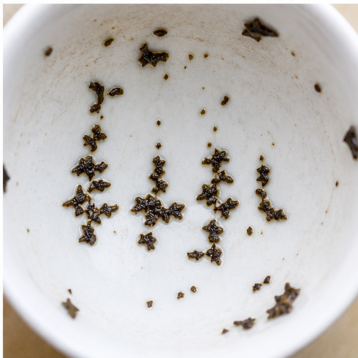 Pine Trees tea leaves cup variation three