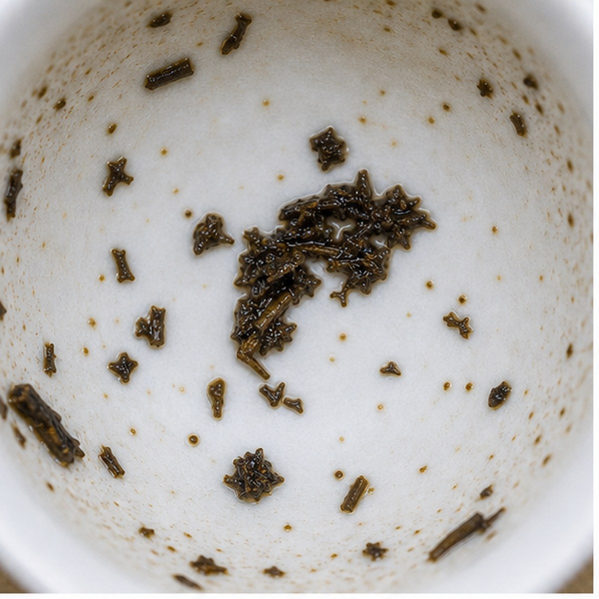 Pistol tea leaf reading cup example