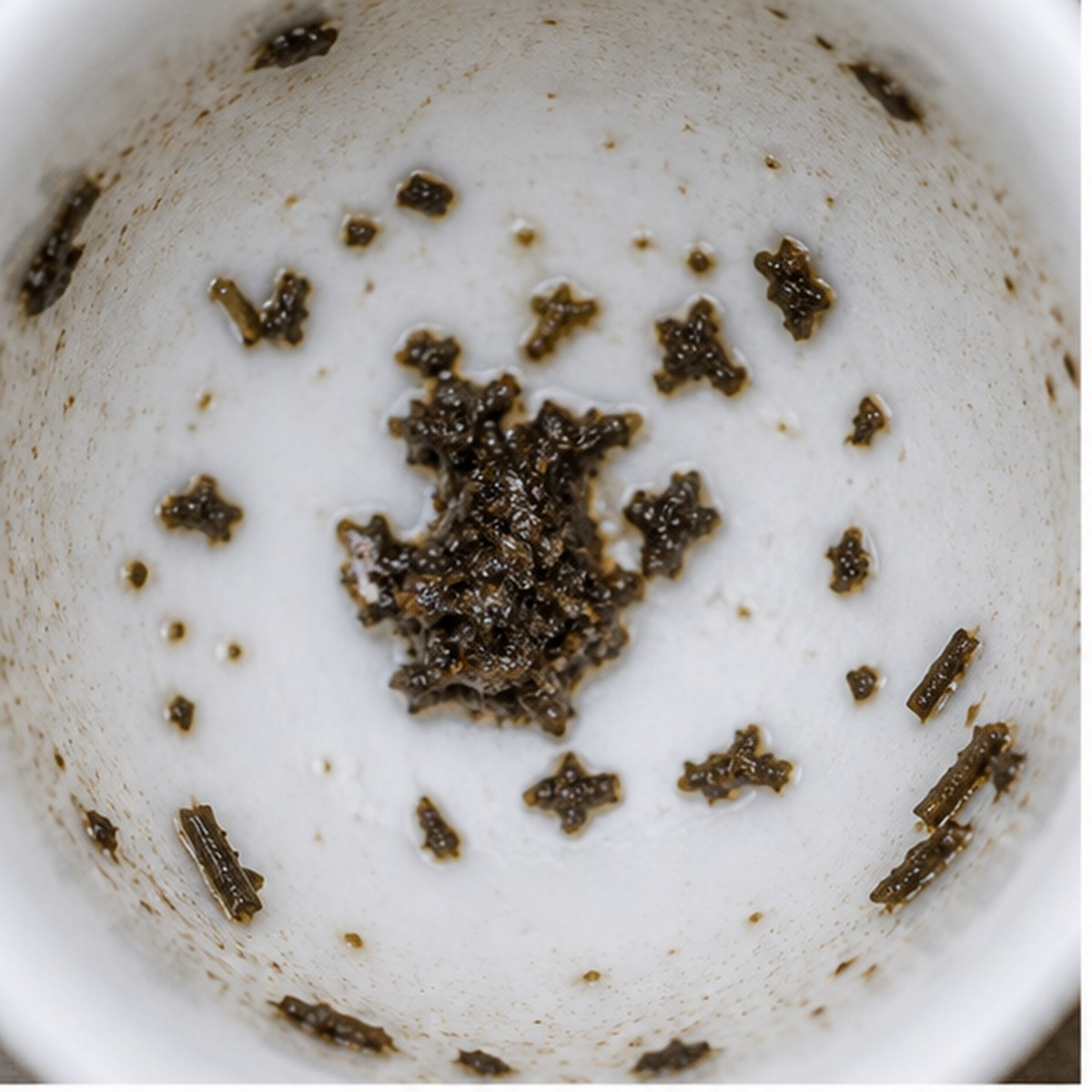 Pitcher tea leaf reading cup example