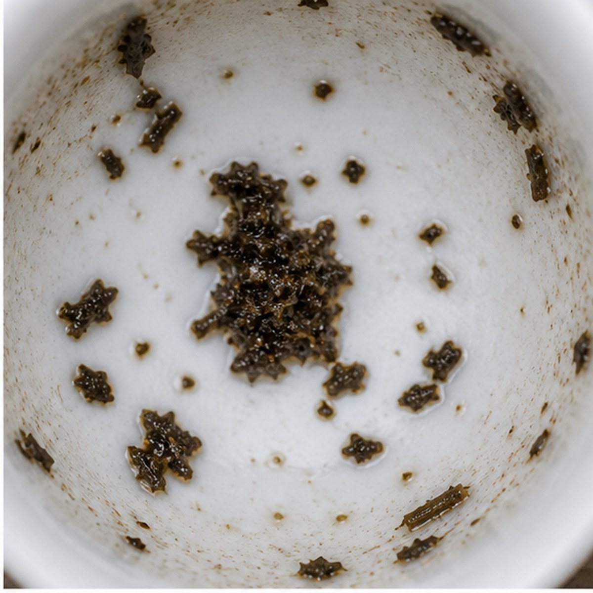 Pitcher tea leaves cup variation one