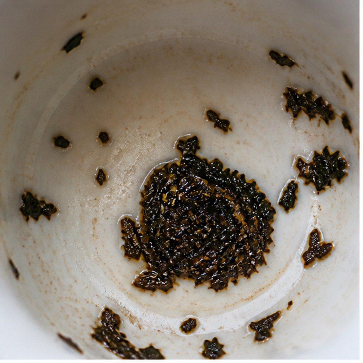 Plum Pudding tea leaf reading cup example