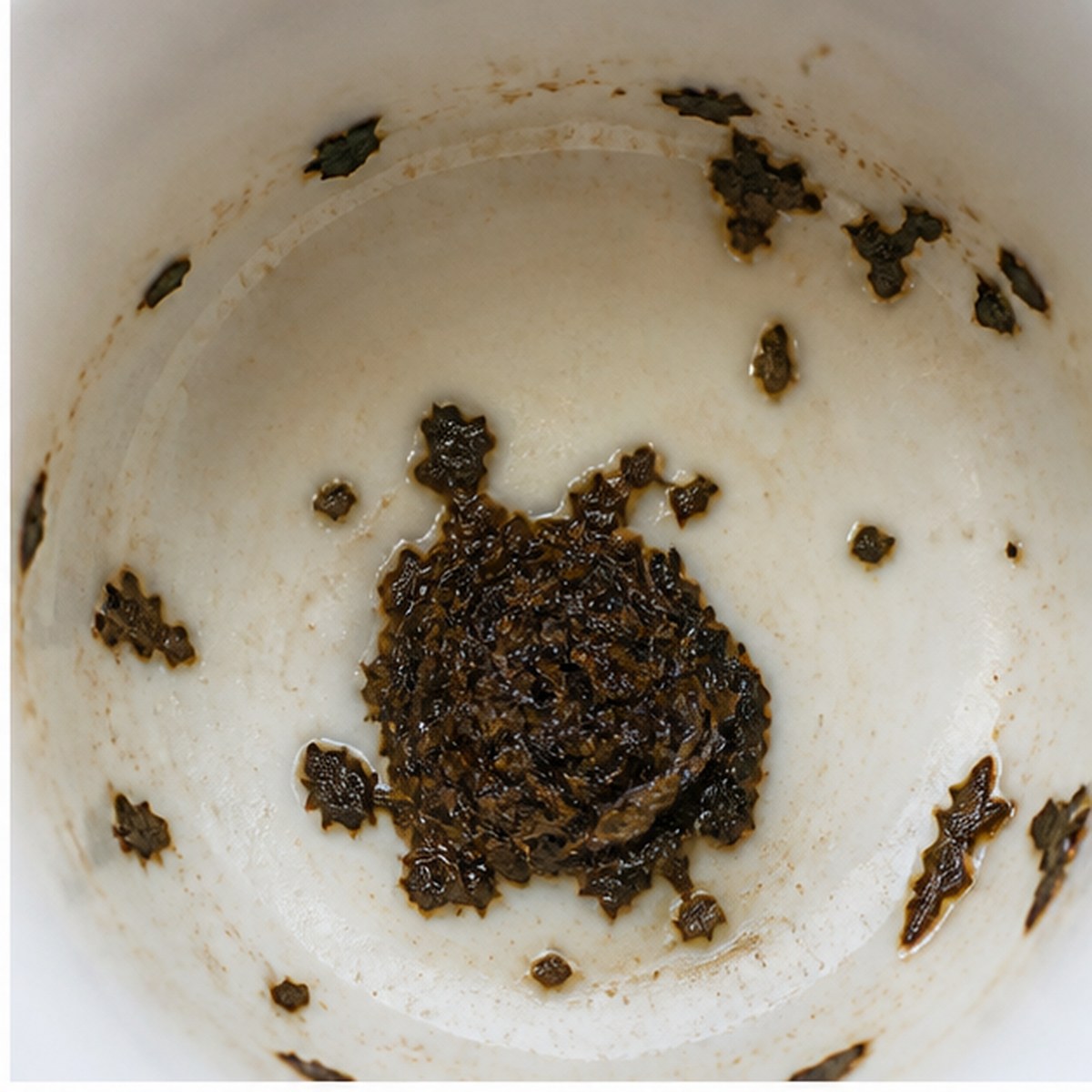 Plum Pudding tea leaves cup variation one