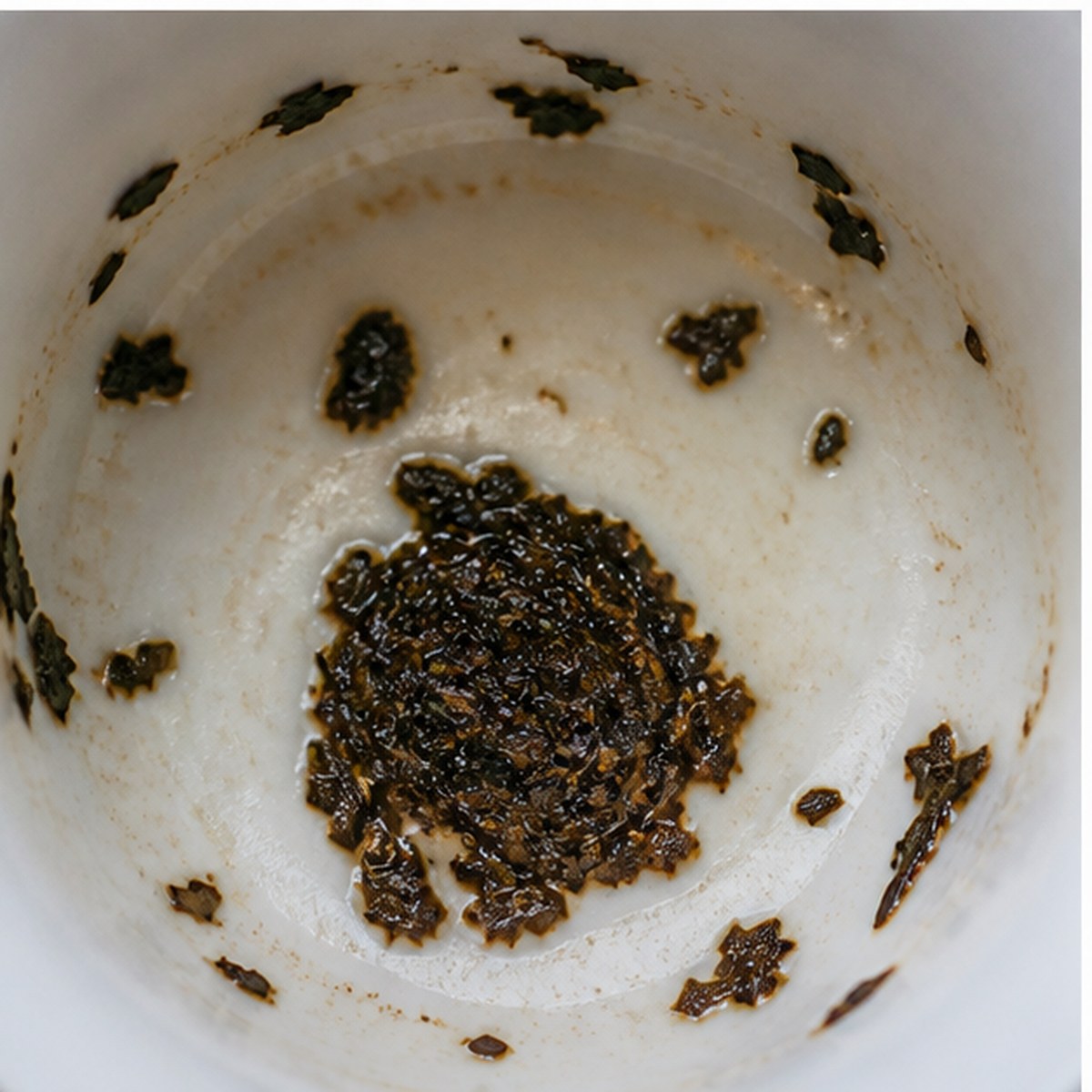 Plum Pudding tea leaves cup variation two