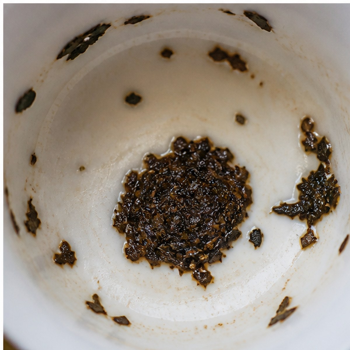 Plum Pudding tea leaves cup variation three