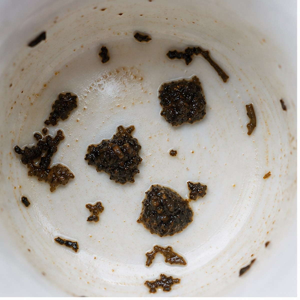 Plums tea leaf reading cup example