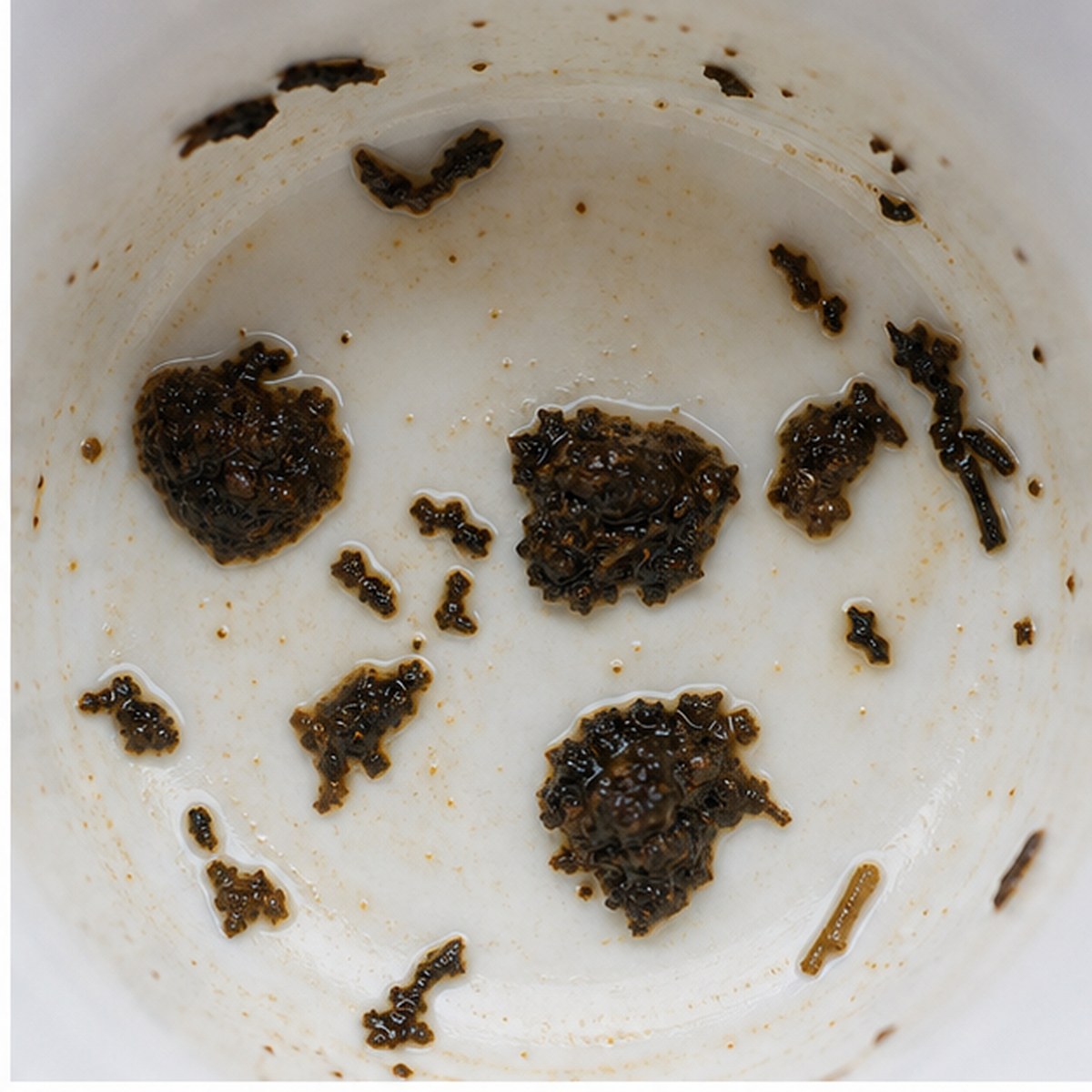 Plums tea leaves cup variation one
